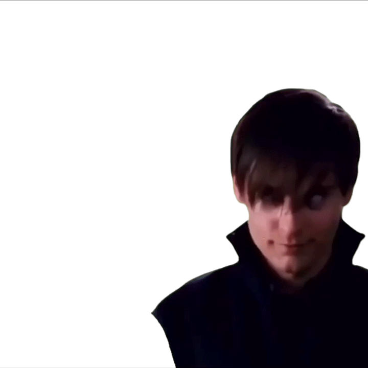 large picture of the cover