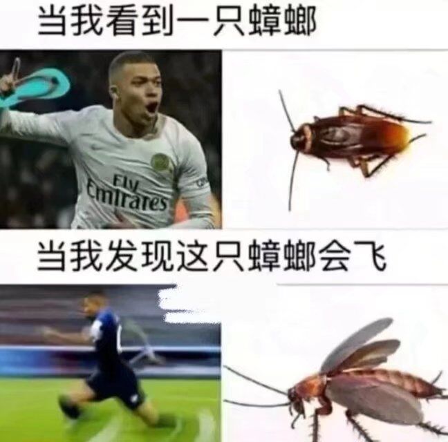 EEC22F43E8D322928DC30FB9B928E299
