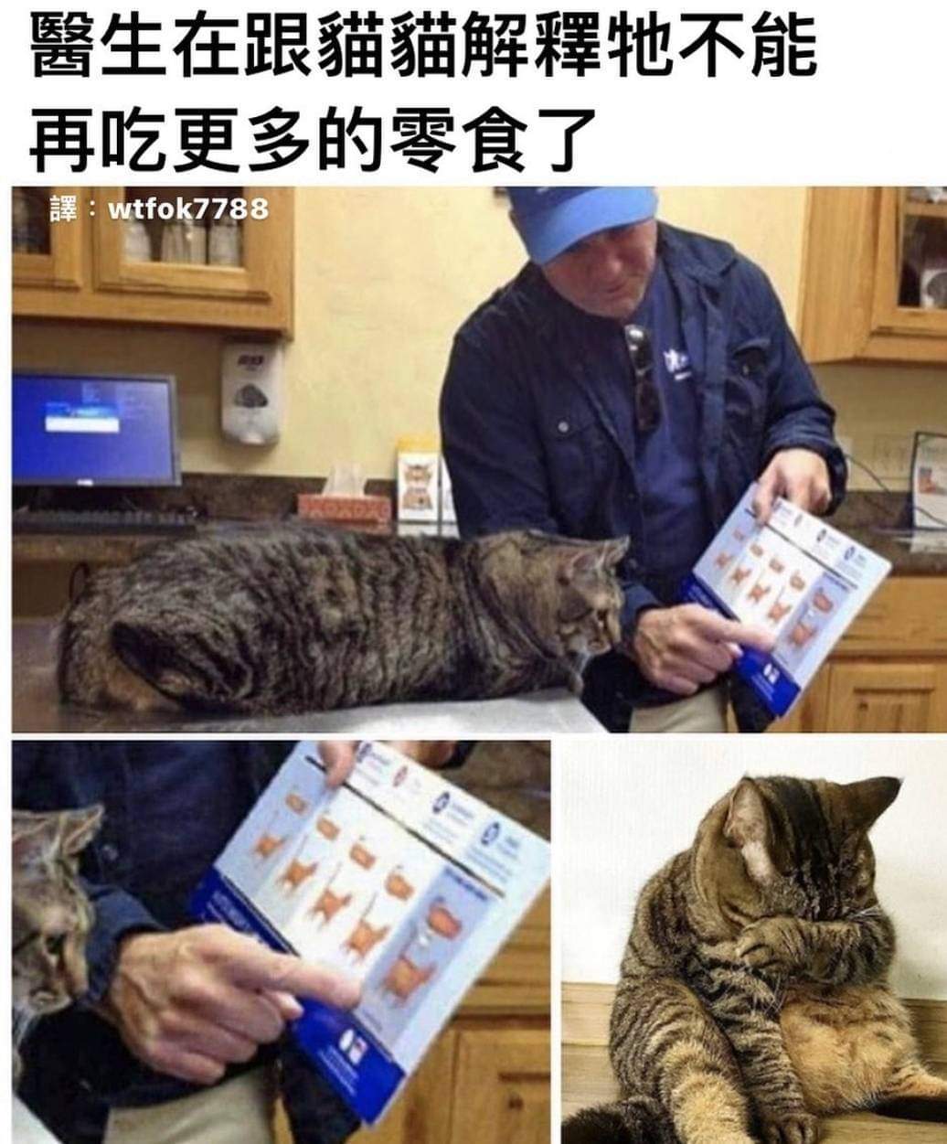 QQ图片20220520164237