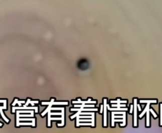image-1652198903209